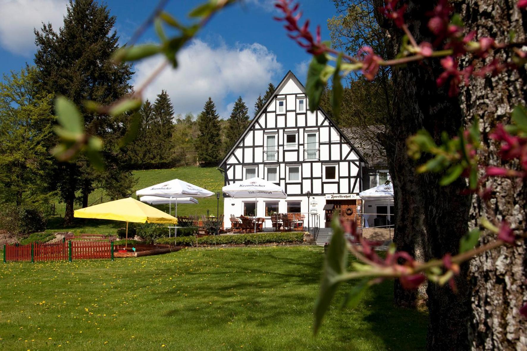Forellenhof Wald- Und Wiesenquartier Bad Berleburg Extérieur photo